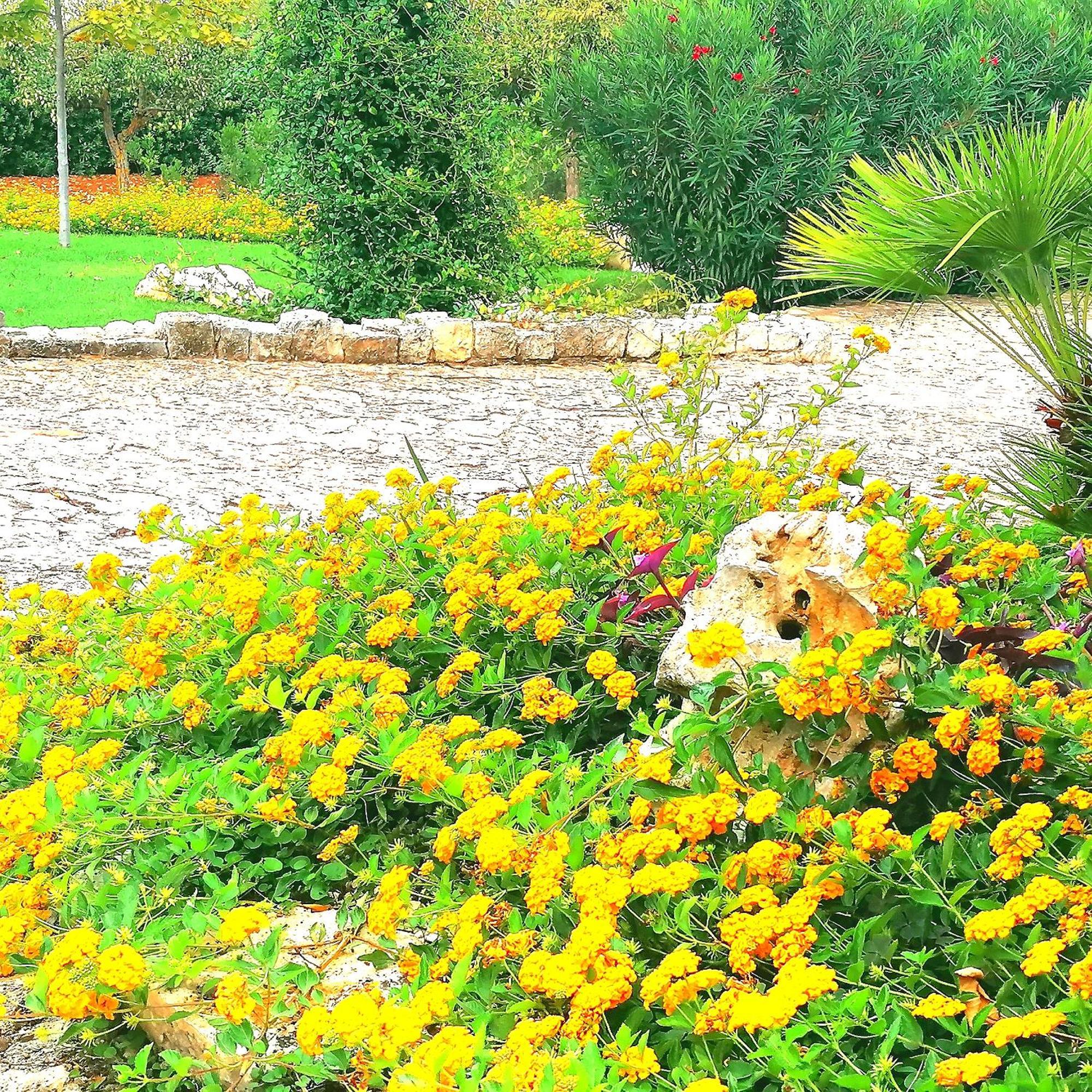 Casa Marisa Villa Vacanza Castellana Grotte Exterior foto